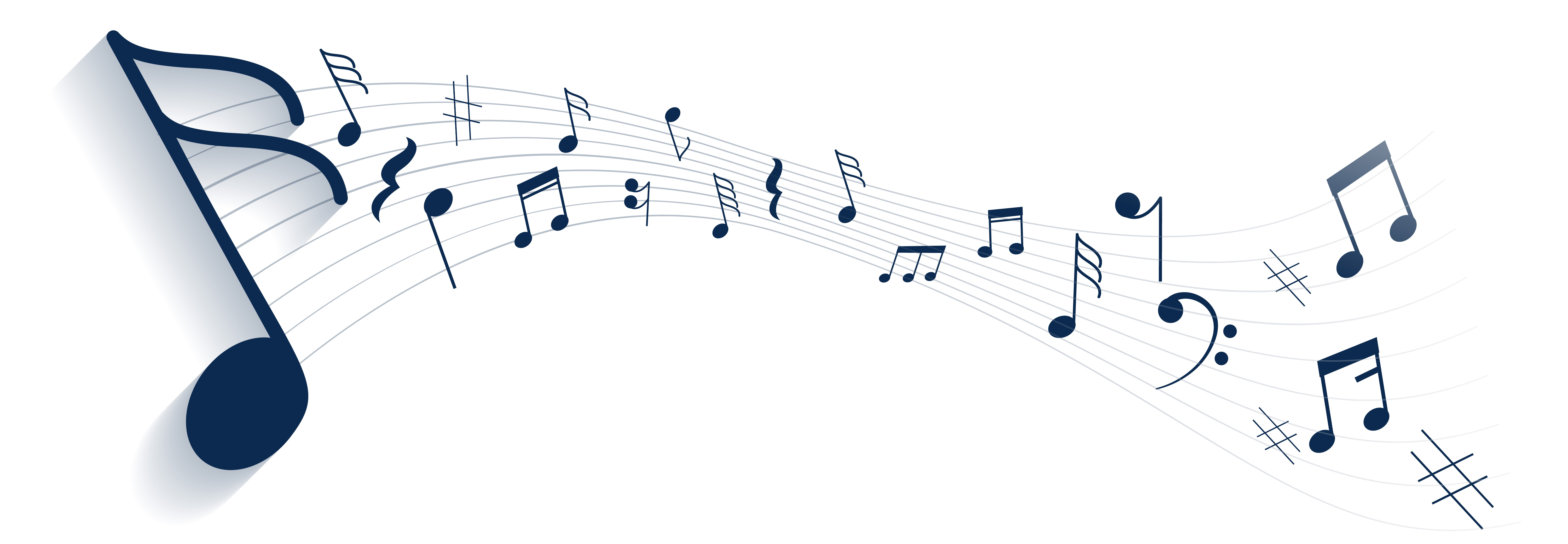 Music Disc